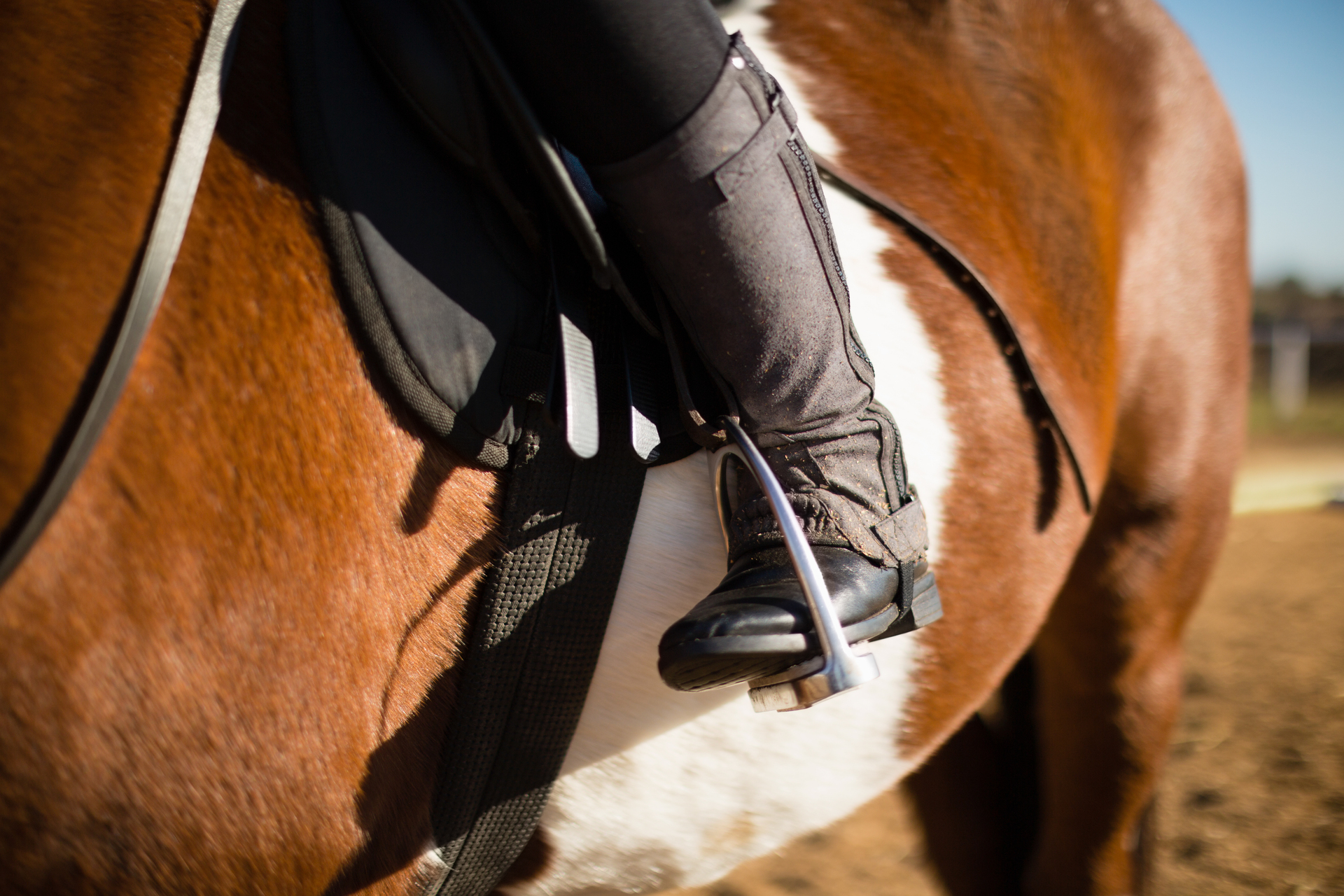 Horse riding